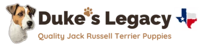 Duke's Legacy Jack Russell Terriers