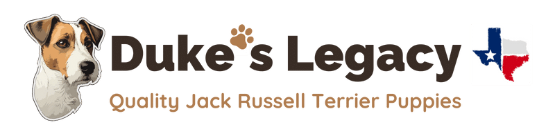 pups dukes legacy jack russell terriers