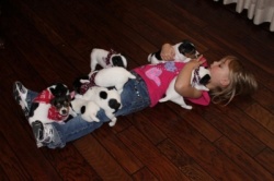 Hines Hill Bailey pups and my Grand Daughter